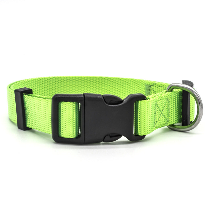 Nlyon Stylish DOG Collar in various colors