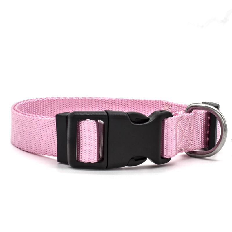Nlyon Stylish DOG Collar in various colors