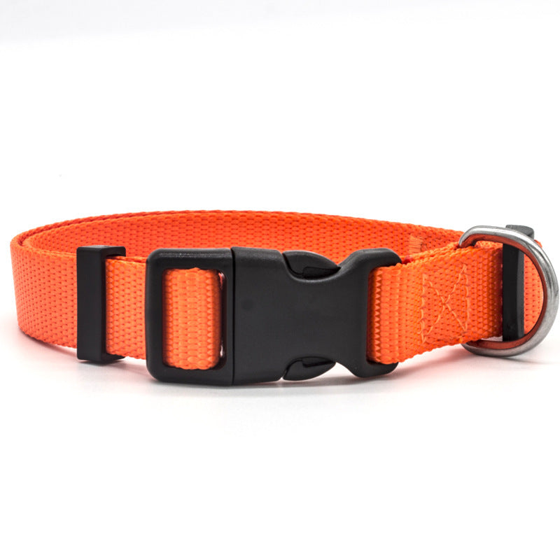 Nlyon Stylish DOG Collar in various colors