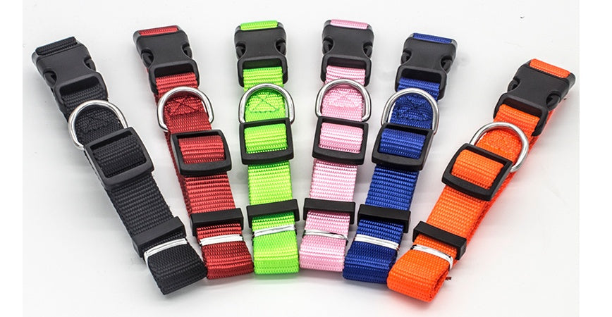 Nlyon Stylish DOG Collar in various colors