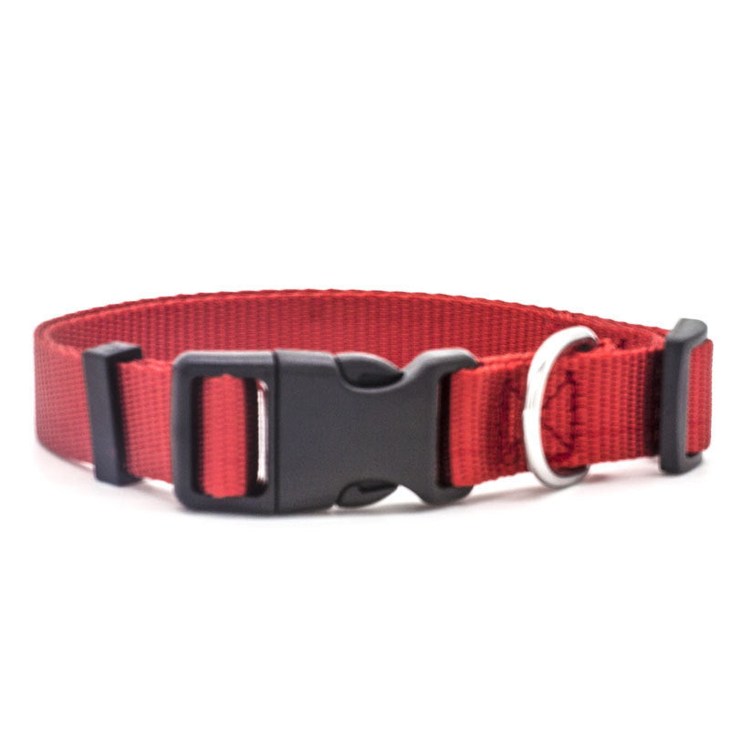 Nlyon Stylish DOG Collar in various colors